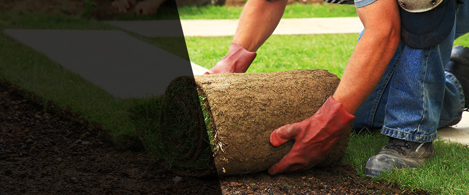 Rhoadesville Landscapers